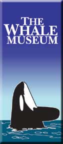 whale museum