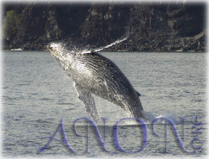 Luna Live research station